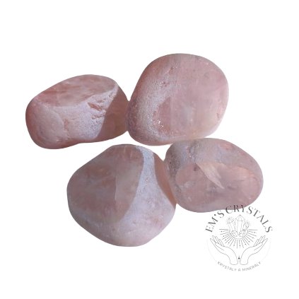 vyr 1745 IMG 20220817 161856 removebg preview