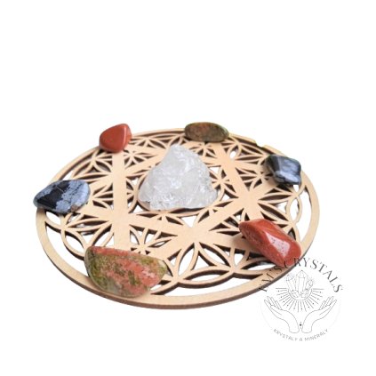 vyrp12 1095IMG 20230418 160028 removebg preview