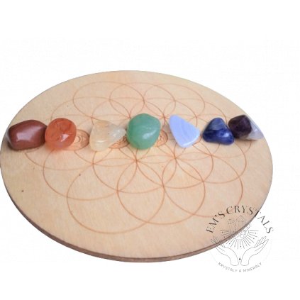 vyrp12 1028IMG 20230418 145510 1 removebg preview