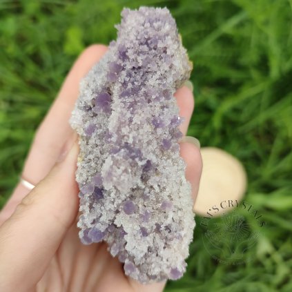 vyrp11 3661IMG 20230829 115031