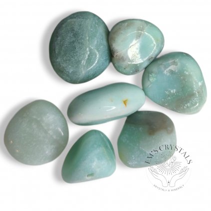 vyr 3123 IMG 20230428 184243 PhotoRoom