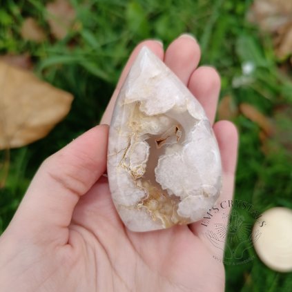 vyrp11 3987IMG 20231018 153158