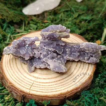 vyr 4005 IMG 20231024 112800