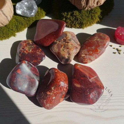 3696 2 vyr 839 img 20220818 162522 Photoroom