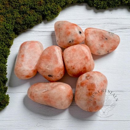 3813 1 vyr 135 img 20221216 143108 photoroom Photoroom