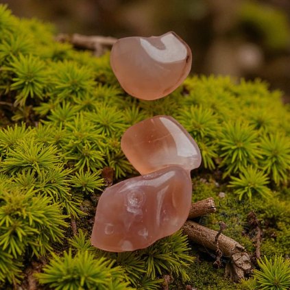 3855 1 vyrp11 2281img 20221216 142806 Photoroom