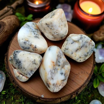 3897 2 vyrp12 3652img 20230829 153205 Photoroom