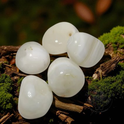 3936 vyr 3236 photoroom 20230530 135444 photoroom Photoroom