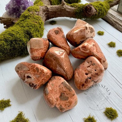 3951 vyr 1389 img 20221208 152006 1 Photoroom