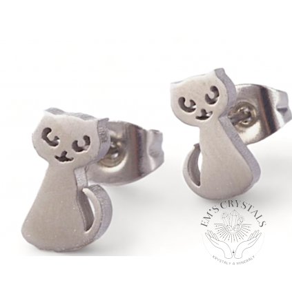 10529 12107 5 nausnice kocka Photoroom