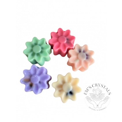 vyr 1981 IMG 20230119 141750 removebg preview