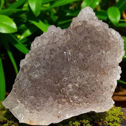 6487 ametystova ruze druza 52 9g c 3 Photoroom