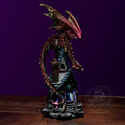 DRG491 003 1607955384