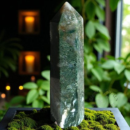 6706 5 1735992209147 photoroom Photoroom