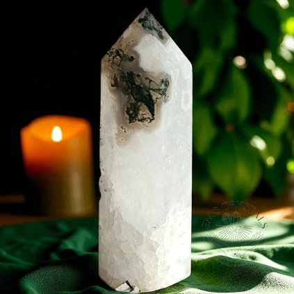 6712 5 1735992208968 photoroom Photoroom