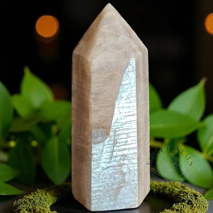 6721 3 1735992208529 photoroom Photoroom