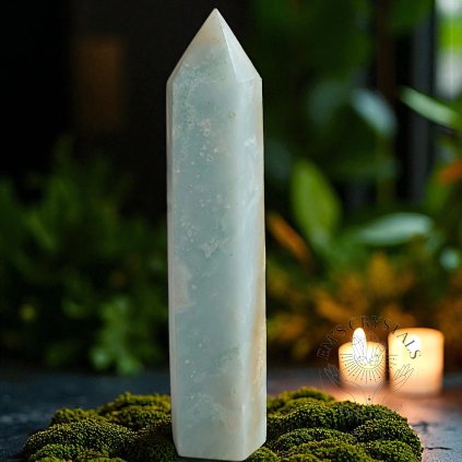 6742 4 1735992207503 photoroom Photoroom