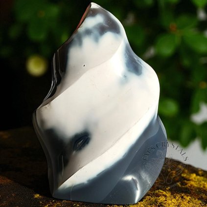 6772 4 1735992207745 photoroom Photoroom