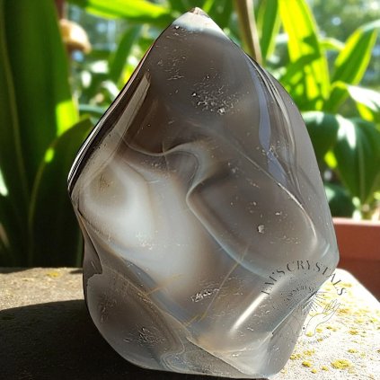 6775 3 1735992207655 photoroom Photoroom