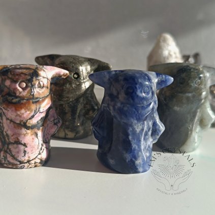 MIMOZEMŠŤAN - různé druhy