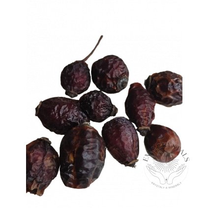 vyrp11 2463IMG 20230120 135934 removebg preview