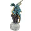DRG449 010 1599511890