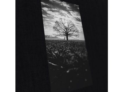 raist 21 foto kokorin2 gfx