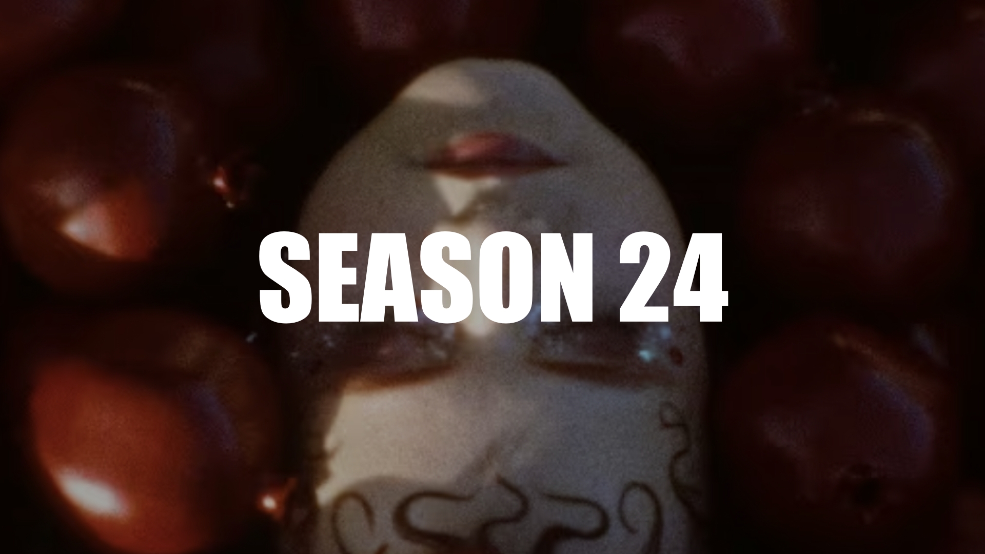 season24