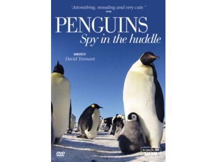 Penguins: Spy in the Huddle (DVD)