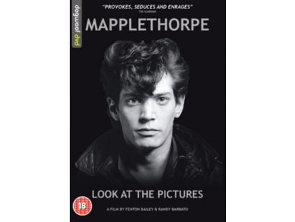 Mapplethorpe: Look at the Pictures (DVD)