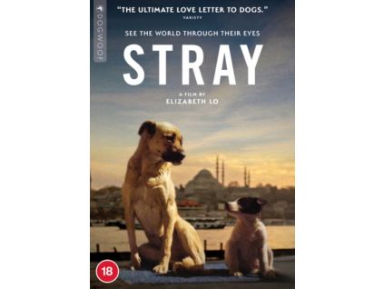 1341907 stray dvd
