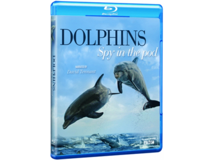 Dolphins - Spy In The Pod Blu-Ray