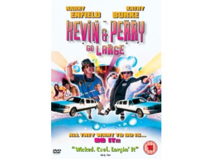 1705341 kevin and perry go large dvd