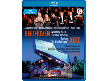 VARIOUS ARTISTS - Beethovensymphony No 9 (Blu-ray)