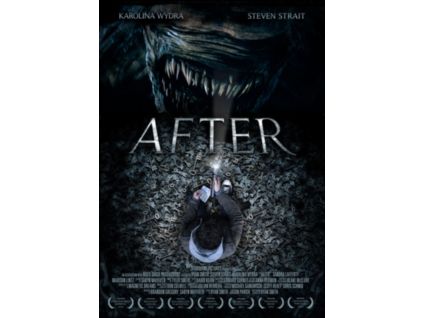 1778881 after dvd