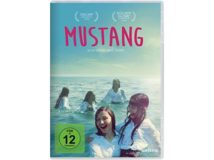 1955109 mustang dvd