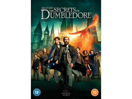 Fantastic Beasts 3 - The Secrets Of Dumbledore DVD