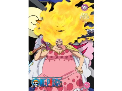 2003376 one piece collection 36 dvd