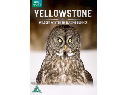 Yellowstone - Wildest Winter To Blazing Summer DVD