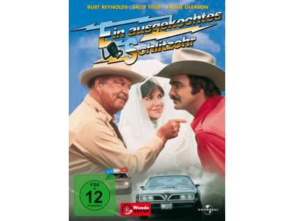 Ein ausgekochtes Schlitzohr (DVD)