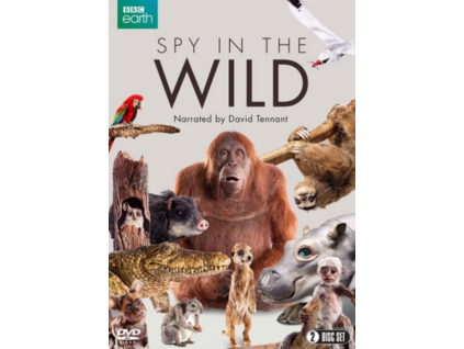 Spy In The Wild Series 1 DVD