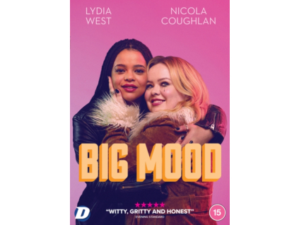 Big Mood - The Complete Mini Series DVD