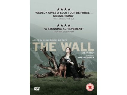 2095341 the wall dvd