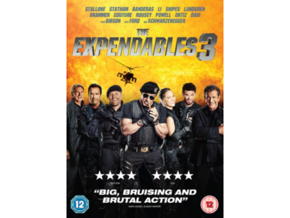 The Expendables 3 DVD