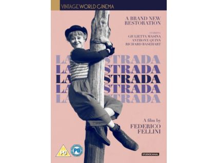 2101173 la strada dvd