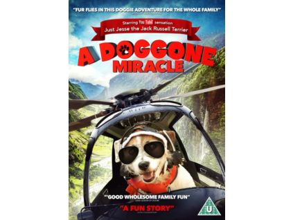 2104434 a doggone miracle dvd
