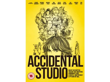 2105910 accidental studio dvd