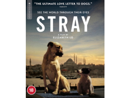 Stray Blu-Ray