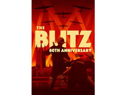 2109234 the blitz dvd