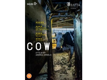 2111358 cow dvd